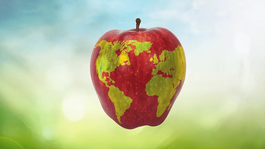 Discovering the Origins of Your Favorite Fruits with Northwest Naturals