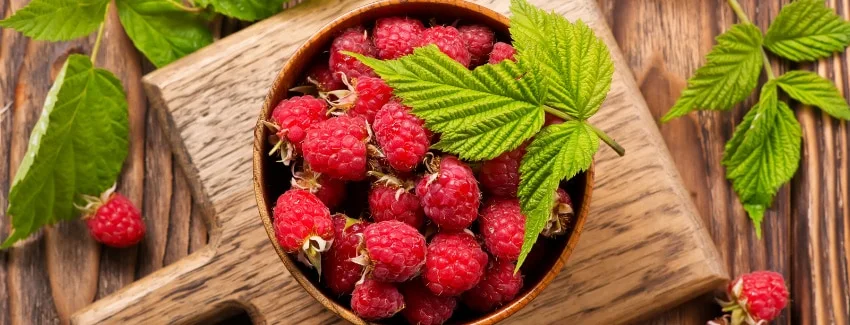 Raspberries: Everything You Need to Know