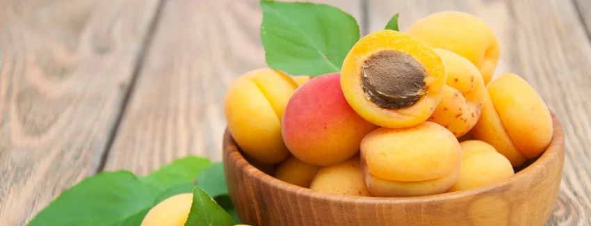 Apricots: Everything You Need to Know