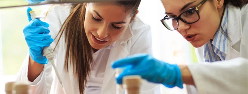 A Day in the Life in Research & Development