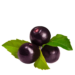 Acai