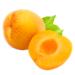 Apricot