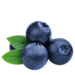 Blueberry