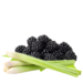 Blackberry - Lemongrass