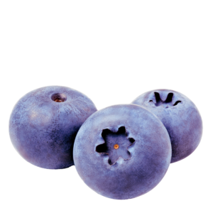 Blueberry - Huckleberry
