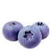 Blueberry - Huckleberry