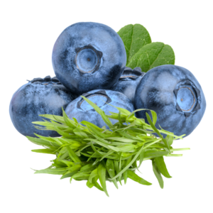 Blueberry - Tarragon