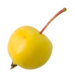 Crabapple