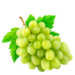 Grape - White