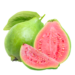 Guava