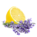 Lemon - Lavender