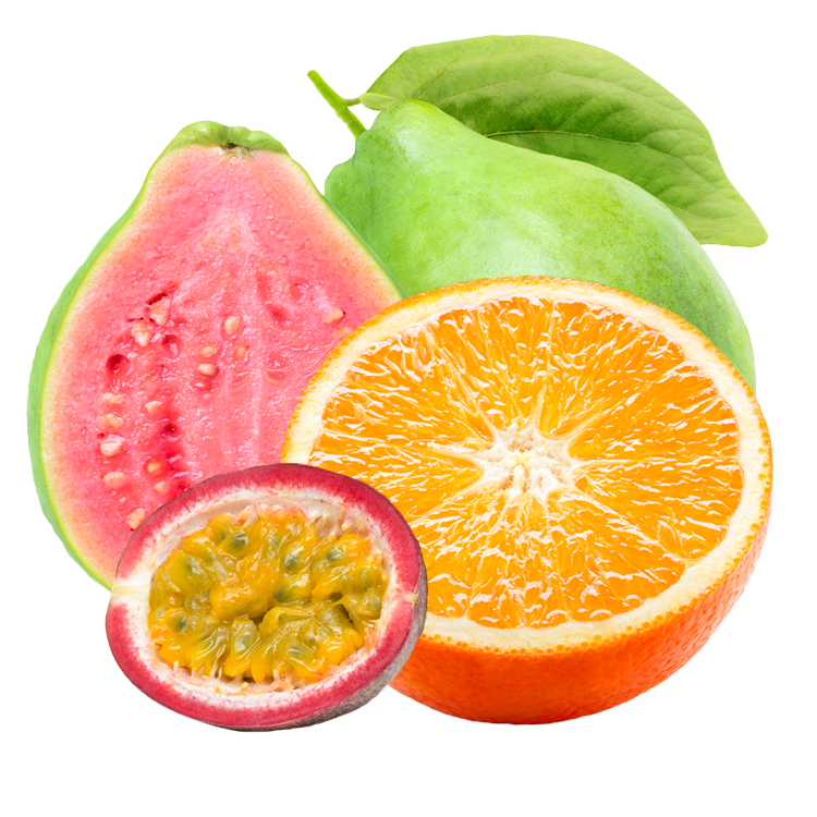 Passion - Orange - Quava