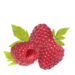 Raspberry