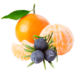 Tangerine - Juniper