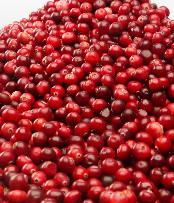 Cranberry Horseradish Mustard Northwest Naturals