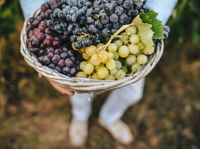 Creating the Perfect Custom Juice Blend!