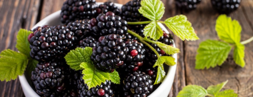 Blackberries