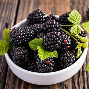 Blackberries