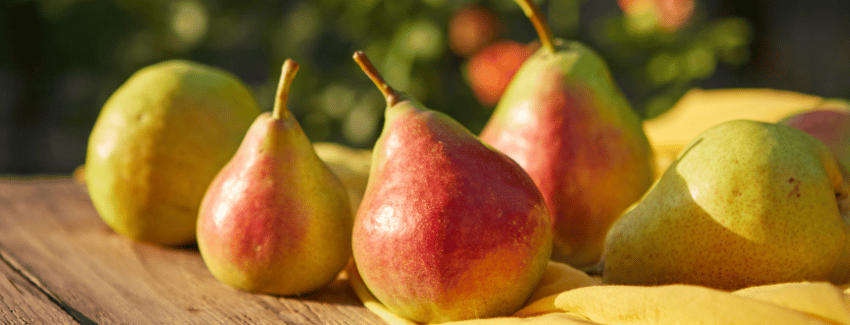 The Pear-fect Guide to Pears