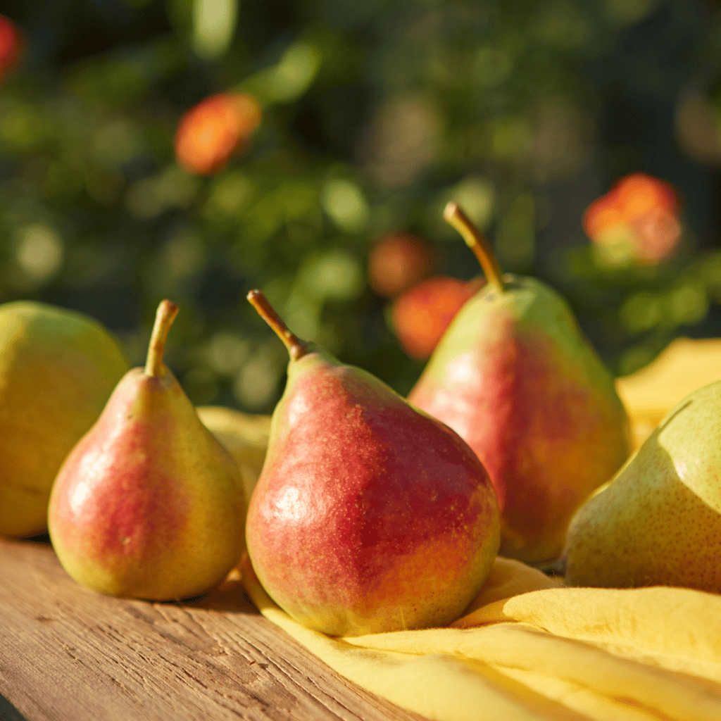 The Pear-fect Guide to Pears