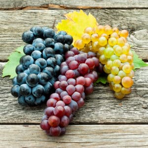 Grape Juice Concentrate Blends