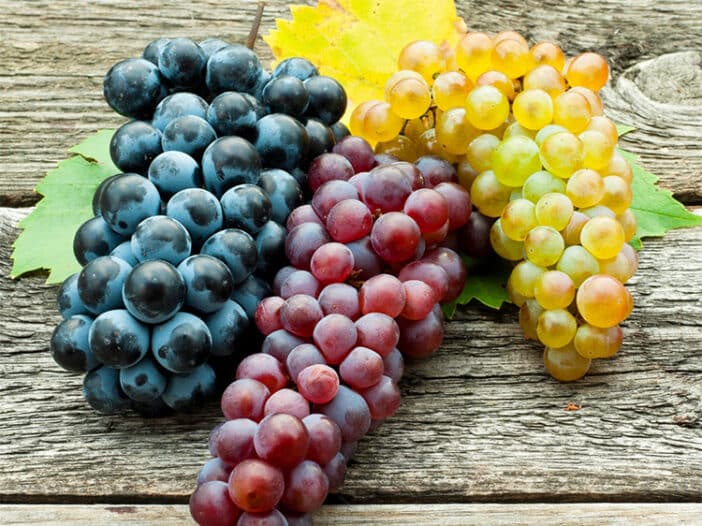 Grape Juice Concentrate Blends